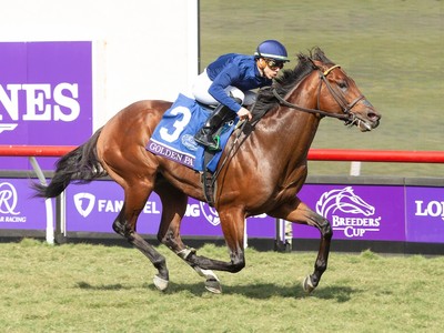 True Valour Is Now Breeders' Cup-Bound